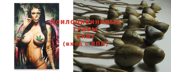 дурь Алексин