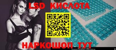 стаф Будённовск