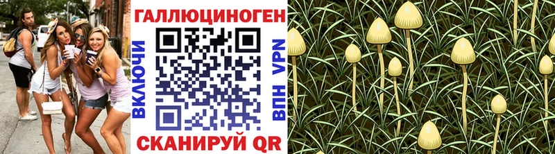 Галлюциногенные грибы мицелий Клин