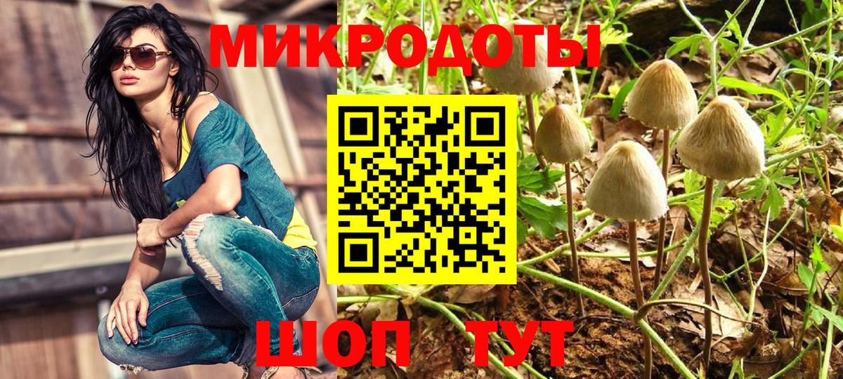 купить закладку  Псилоцибиновые грибы мицелий  Клин  Вход с VPN  Псилоцибиновые грибы Psilocybine cubensis 